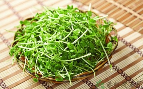 这菜营养不输西兰花,播种20天可采收,连收10次,每亩可达万元!