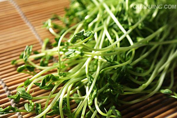 这菜营养不输西兰花,播种20天可采收,连收10次,每亩可达万元!