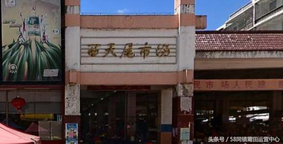 莆田西天尾镇地图,莆田市荔城区西天尾镇