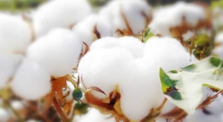 宝宝湿巾安全指数,宝宝专用湿巾擦脸测评