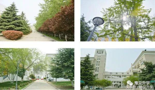 中国科学院合作的学校!郑州初中名校系列:郑中国际学校