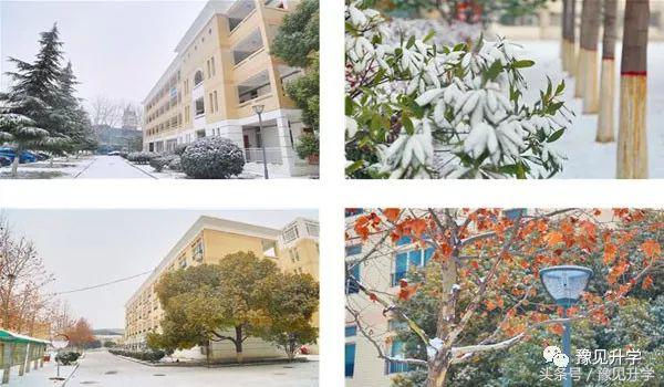 中国科学院合作的学校!郑州初中名校系列:郑中国际学校