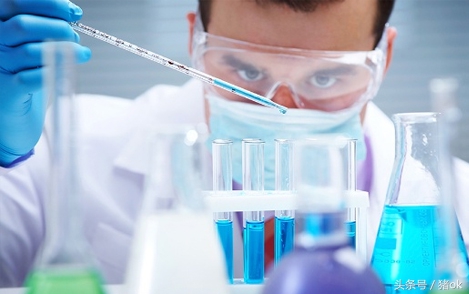 前有猪瘟，后有羊牛炭疽病，关于炭疽病养殖户都需要了解哪些？