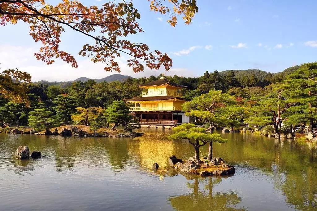 日本机场等候行李视频,日本搬行李视频