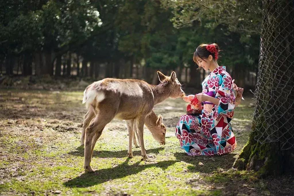 日本机场等候行李视频,日本搬行李视频