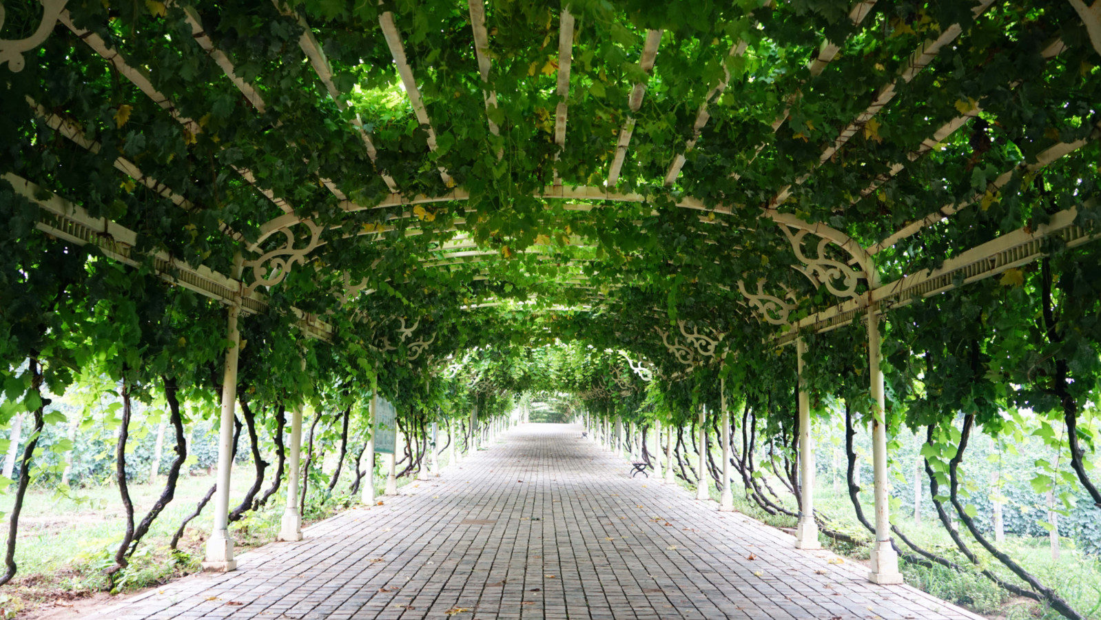 张裕爱斐堡国际酒庄品酒价格,张裕酒庄品酒