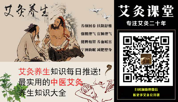 百草之王艾草,百草之王艾草可以驱蚊