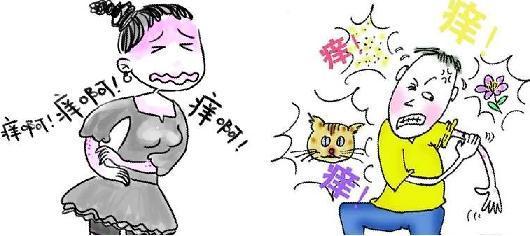 宝宝艾叶治湿疹最快的偏方,婴儿湿疹克星草