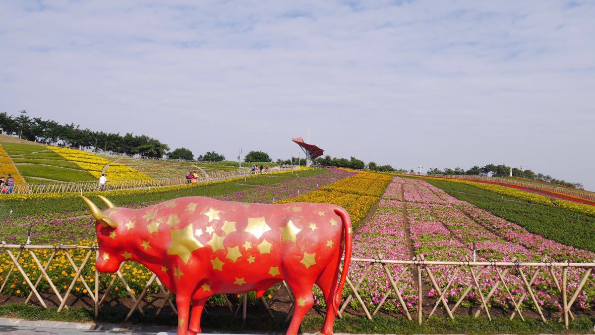 深圳东部华侨城简介,深圳东部华侨城大峡谷
