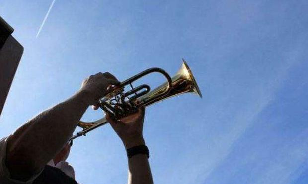 刚刚，退休的音乐老师终于总结了多年小号教学心得！赶紧学起来！