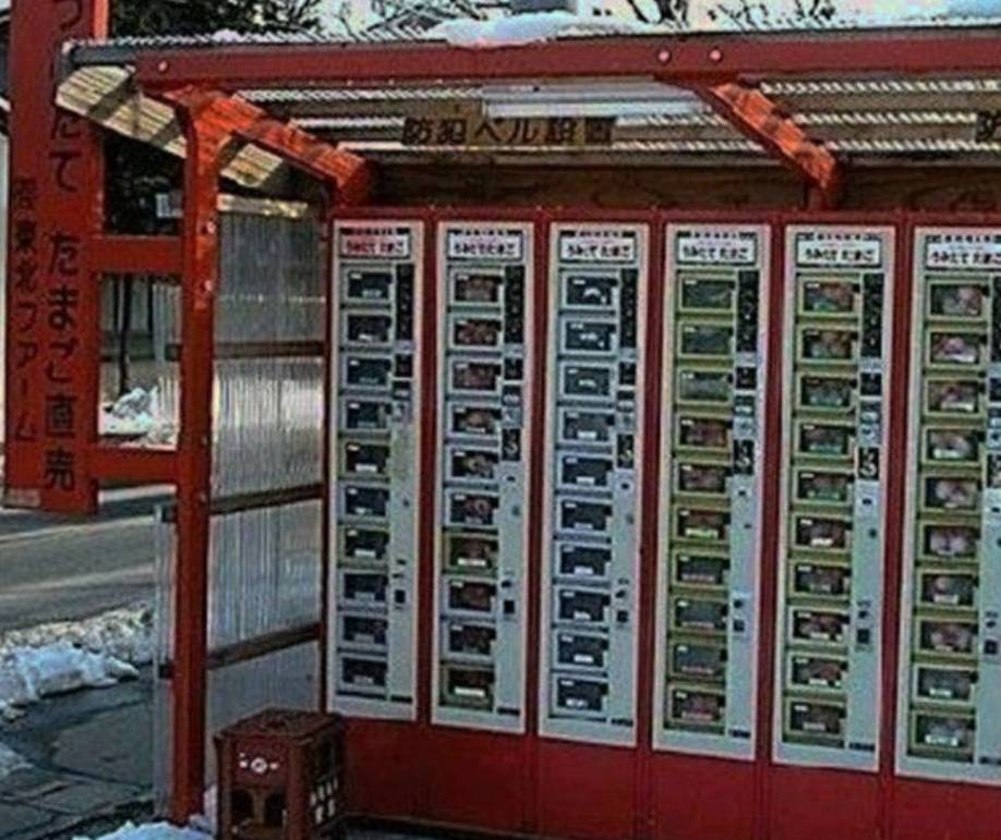 深夜日本自动贩卖机,日本自动贩卖机自动找零