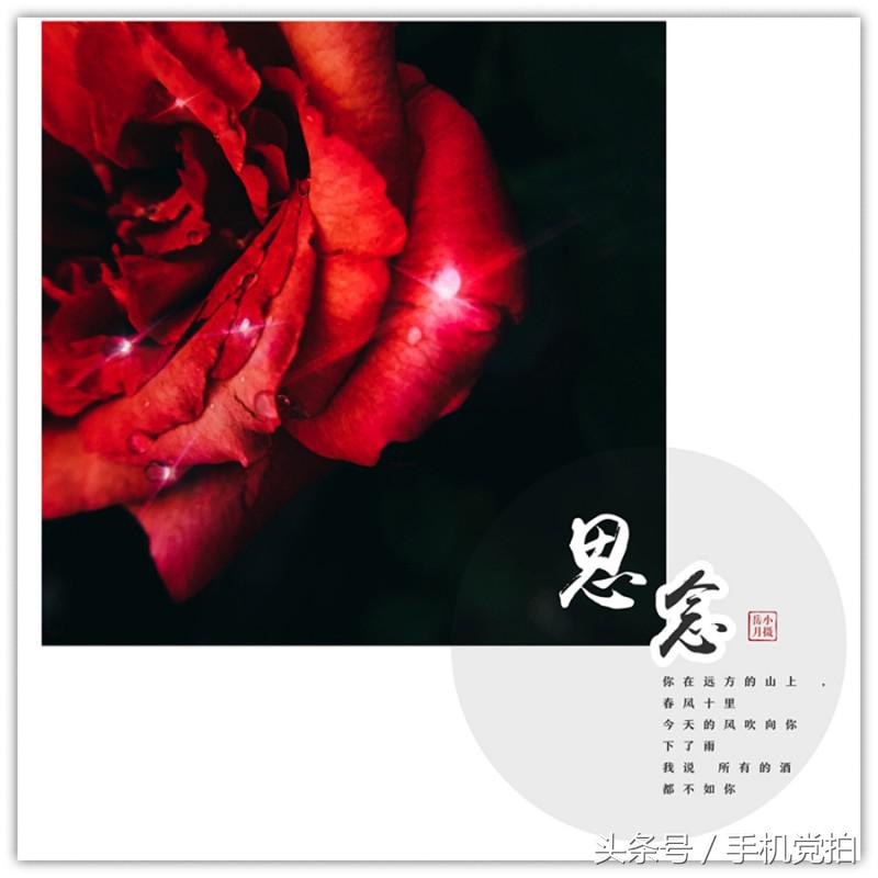 七夕节适合表白的数字浪漫,七夕送玫瑰花卡片写什么情话