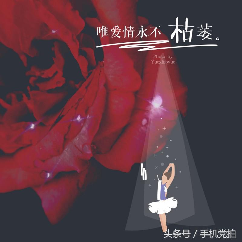 七夕节适合表白的数字浪漫,七夕送玫瑰花卡片写什么情话