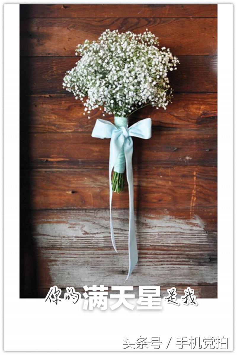 七夕节适合表白的数字浪漫,七夕送玫瑰花卡片写什么情话