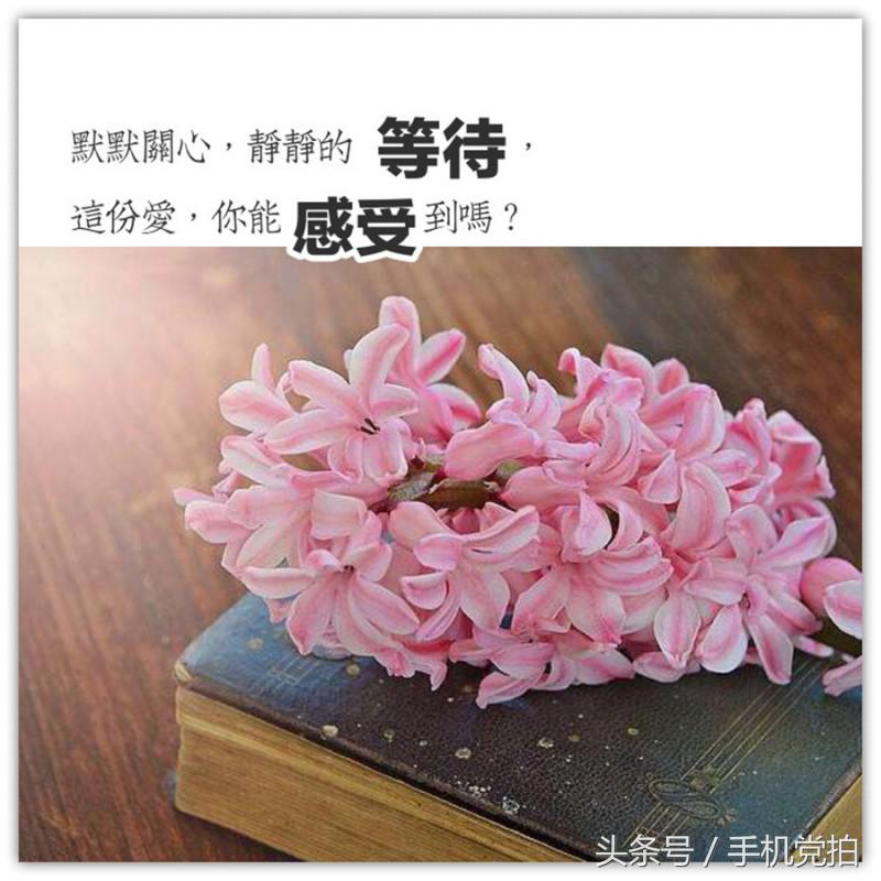 七夕节适合表白的数字浪漫,七夕送玫瑰花卡片写什么情话