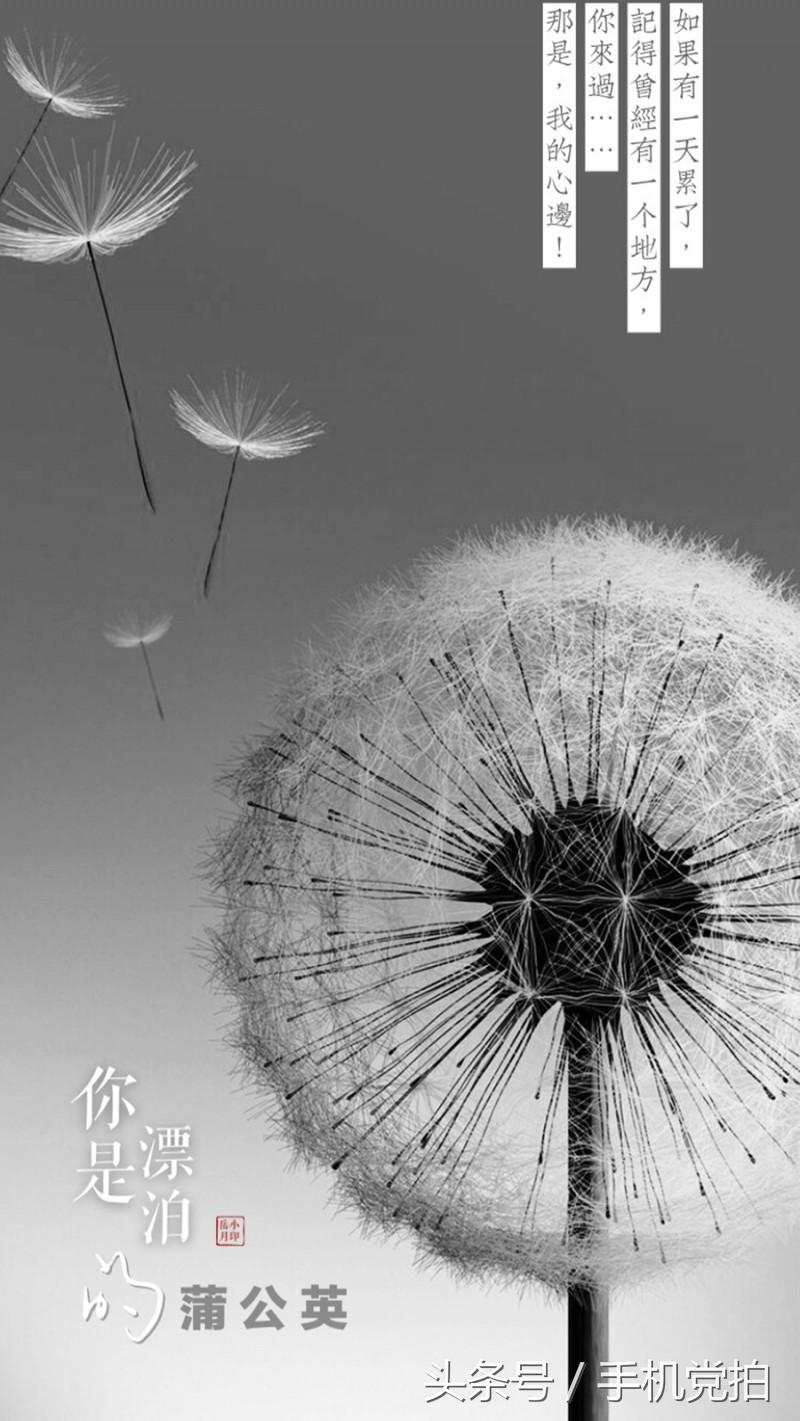 七夕节适合表白的数字浪漫,七夕送玫瑰花卡片写什么情话