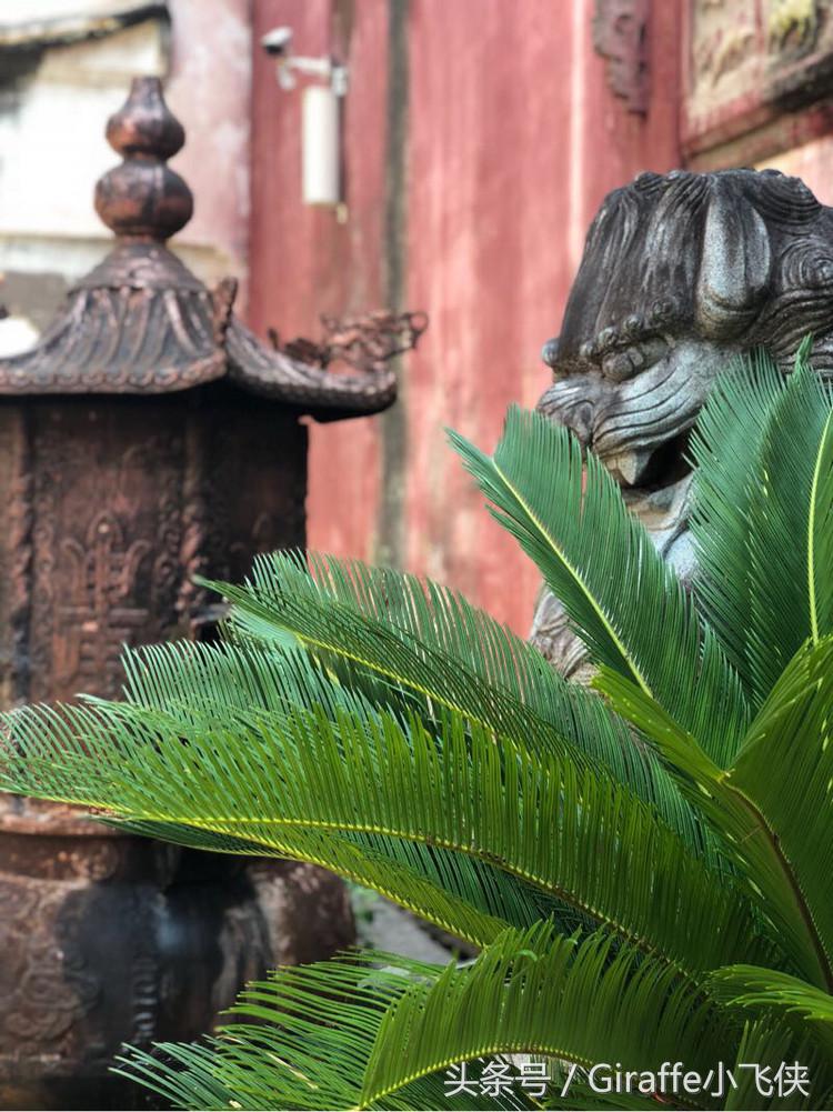 浙西深山里的小众秘境,隐匿在浙西大山里的绝美去处