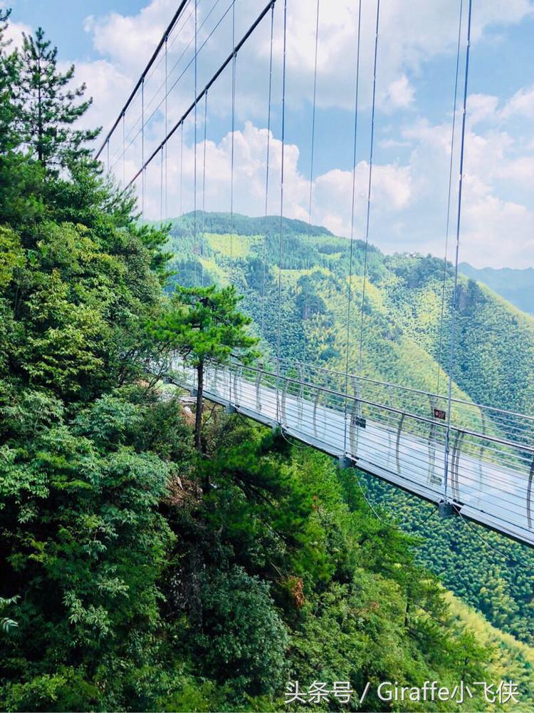 浙西深山里的小众秘境,隐匿在浙西大山里的绝美去处