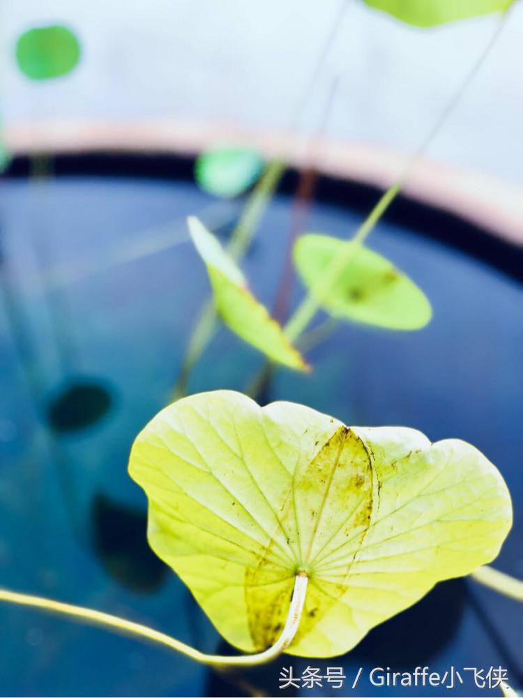 浙西深山里的小众秘境,隐匿在浙西大山里的绝美去处
