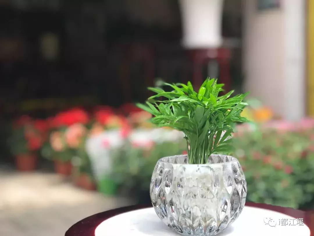 七夕惊喜仪式感,七夕最值得准备的仪式感