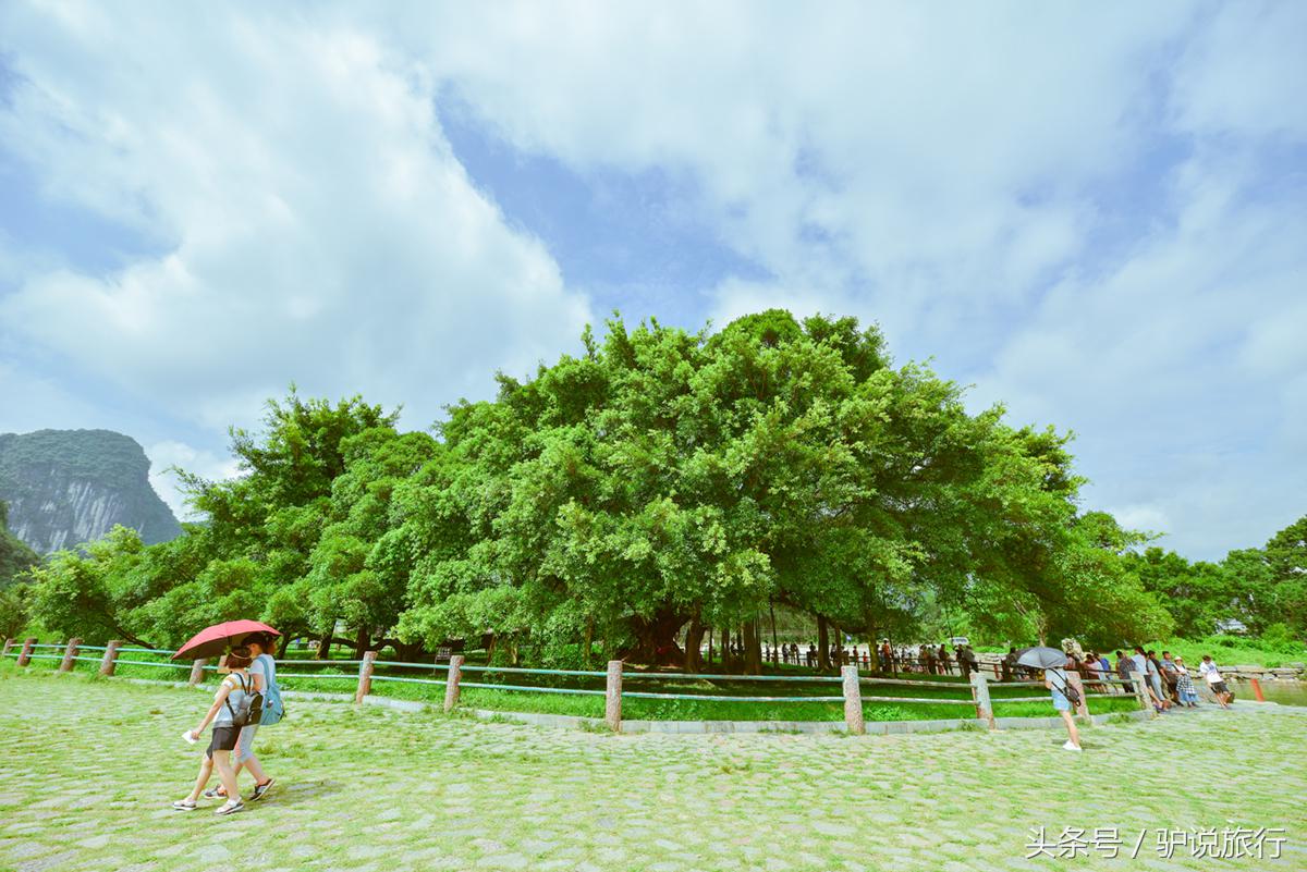 世界级旅游城市——桂林，四任美国总统都来打过卡，特朗普也说要来