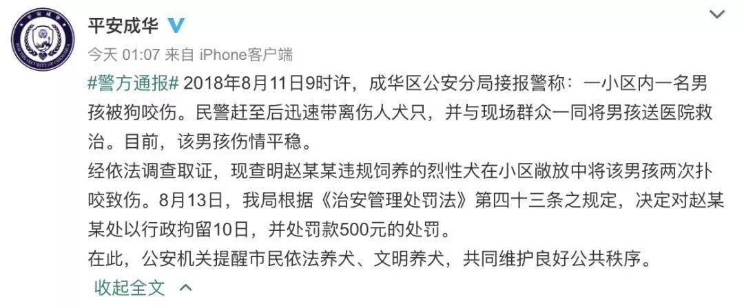 被狗咬禁养犬,13岁少年被牧羊犬咬