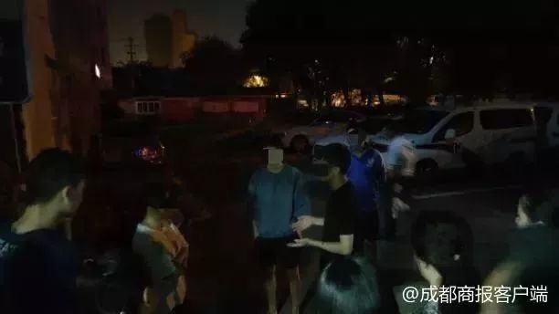 被狗咬禁养犬,13岁少年被牧羊犬咬