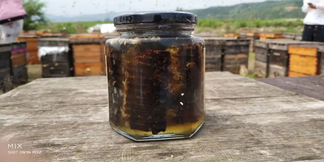 蜂蜜对孩子早熟有影响吗,蜂蜜会导致孩子早熟吗