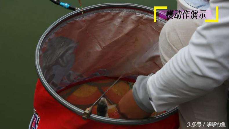 简单钓鱼摘钩器用法视频,钓鱼挡针器怎么取鱼钩