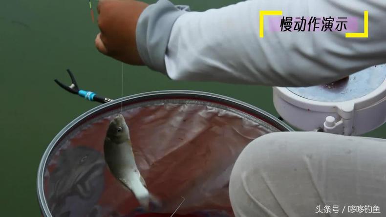 简单钓鱼摘钩器用法视频,钓鱼挡针器怎么取鱼钩
