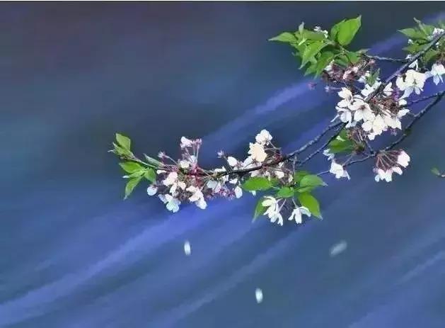 四书五经国学精华100句,四书五经精华100词