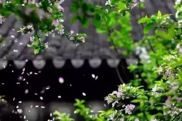 四书五经国学精华100句,四书五经精华100词