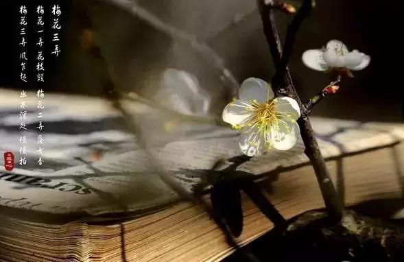 四书五经国学精华100句,四书五经精华100词