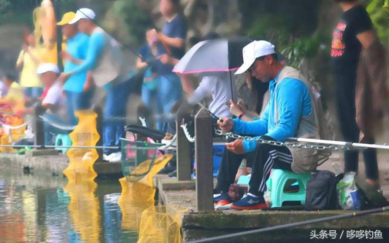 大蒜钓鱼真实效果,大蒜钓鱼真的有效果吗
