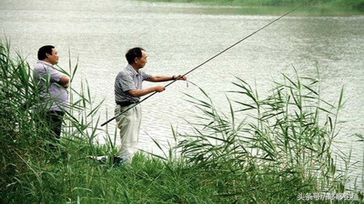 黄颡的垂钓技巧,夜钓黄颡如何增加鱼获