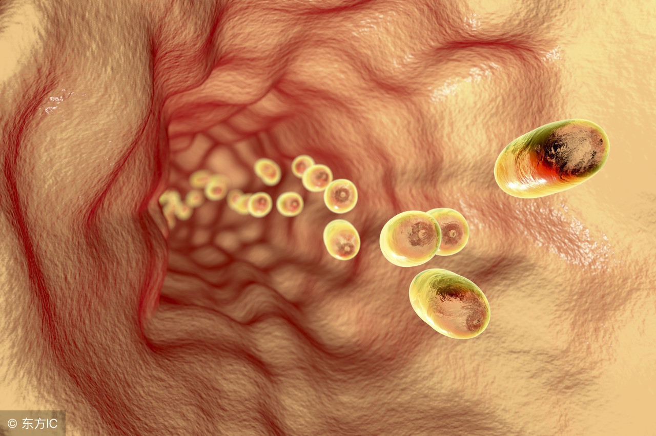 食管癌术后吻合口狭窄吃什么中药,食管癌术后吻合口狭窄消化内科