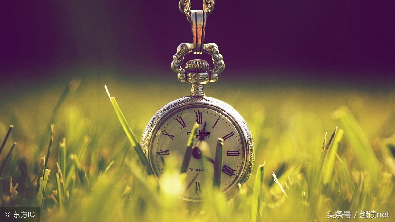 极品公子经典语录180句,极品公子里的经典句子