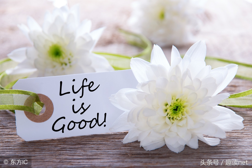 极品公子经典语录180句,极品公子里的经典句子