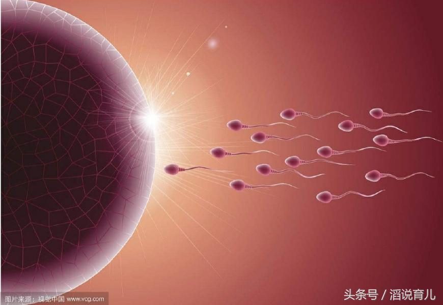 女人不停怀孕却不能生孩子,女人久久怀不上孩子多喝什么汤