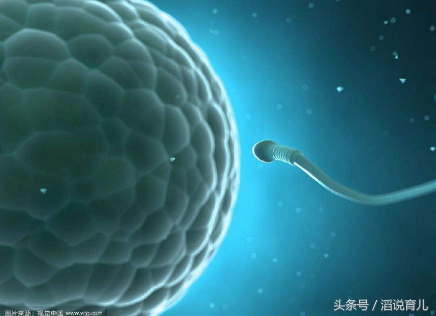 女人不停怀孕却不能生孩子,女人久久怀不上孩子多喝什么汤