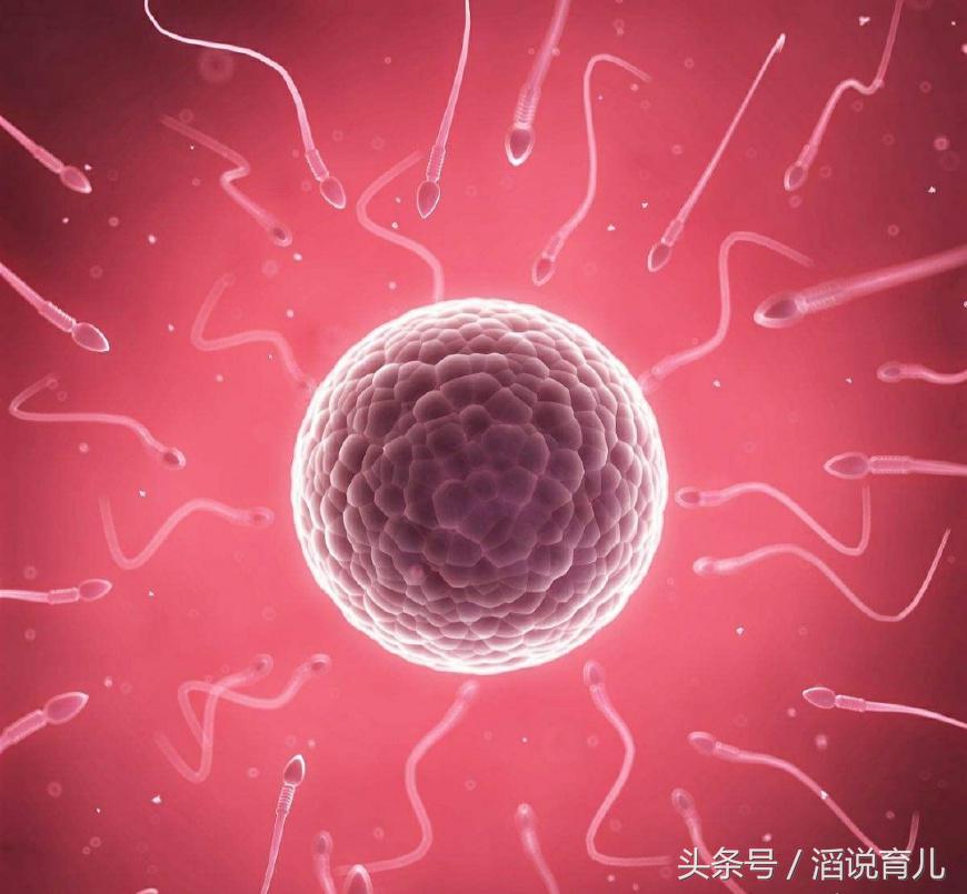 女人不停怀孕却不能生孩子,女人久久怀不上孩子多喝什么汤