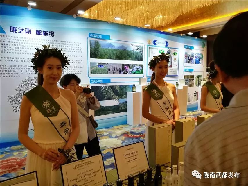 陇南武都橄榄产业发展,陇南油橄榄产业