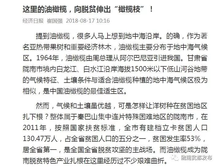 陇南武都橄榄产业发展,陇南油橄榄产业