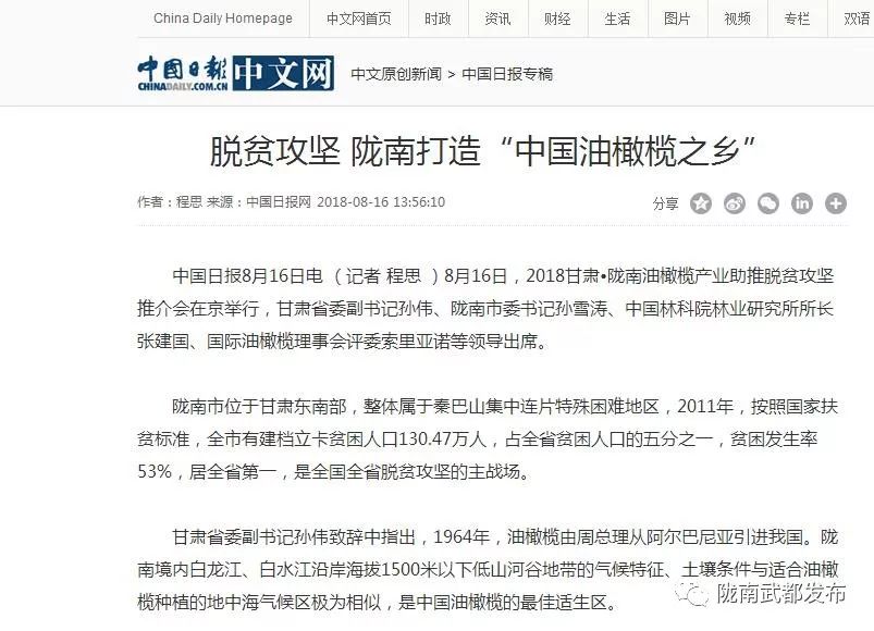 陇南武都橄榄产业发展,陇南油橄榄产业