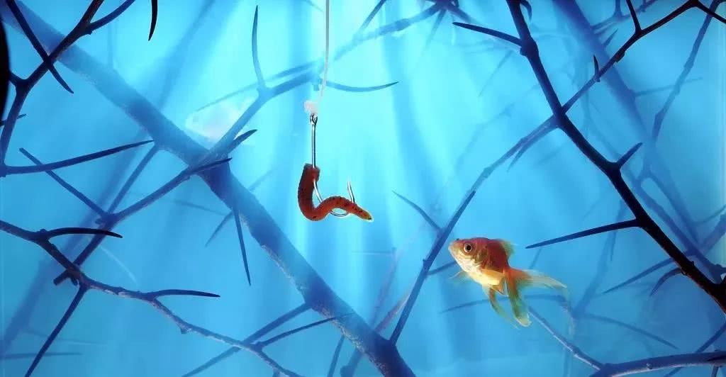 最近西安的二手房掉价了吗,西安二手房为啥降价了