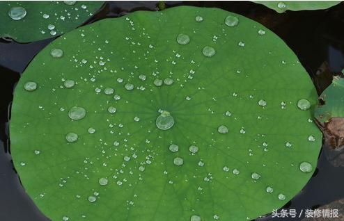 屋里的吊顶需要清理吗,吊顶在平时使用中需要打扫卫生吗