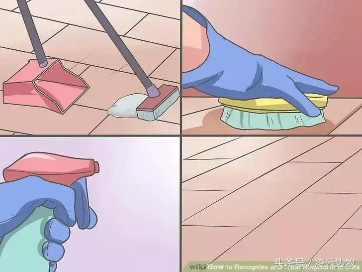 痒痒痒救救小主吧!狗狗出红疹怎么办?