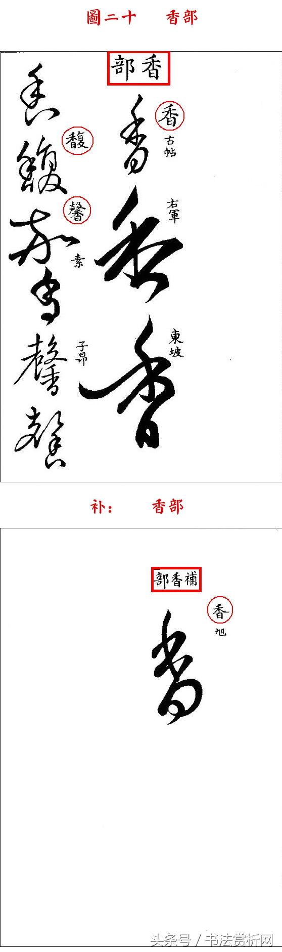 书法欣赏草书名家作品赏析,历代草书名家草体总汇之六