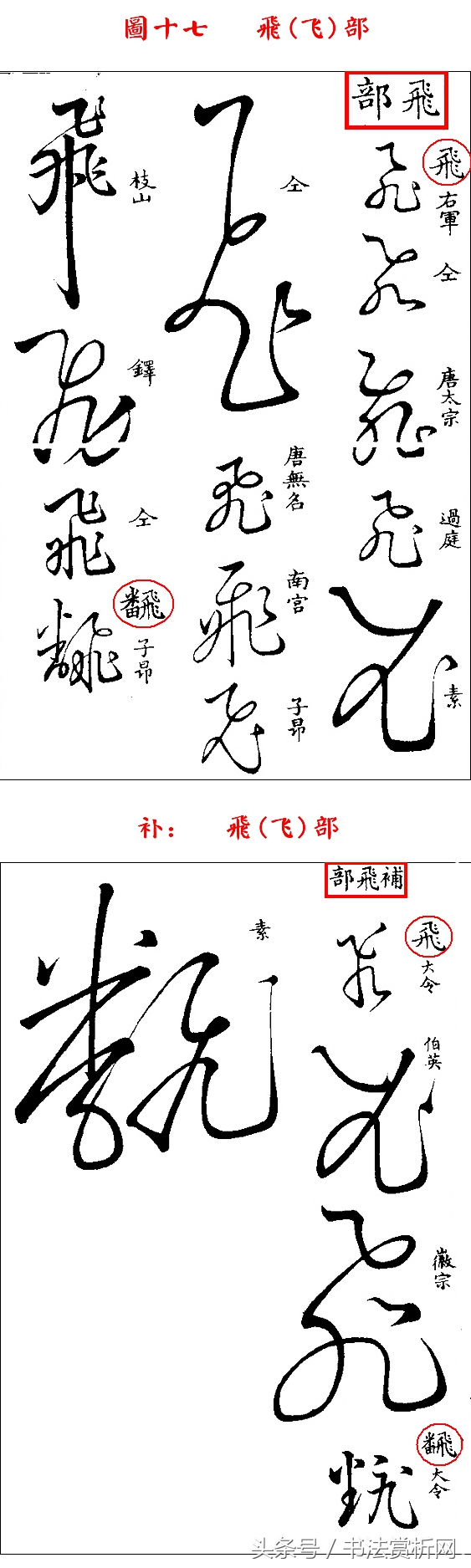 书法欣赏草书名家作品赏析,历代草书名家草体总汇之六