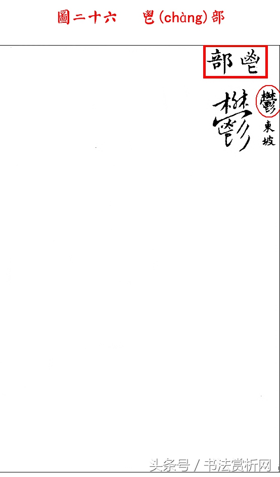 书法欣赏草书名家作品赏析,历代草书名家草体总汇之六